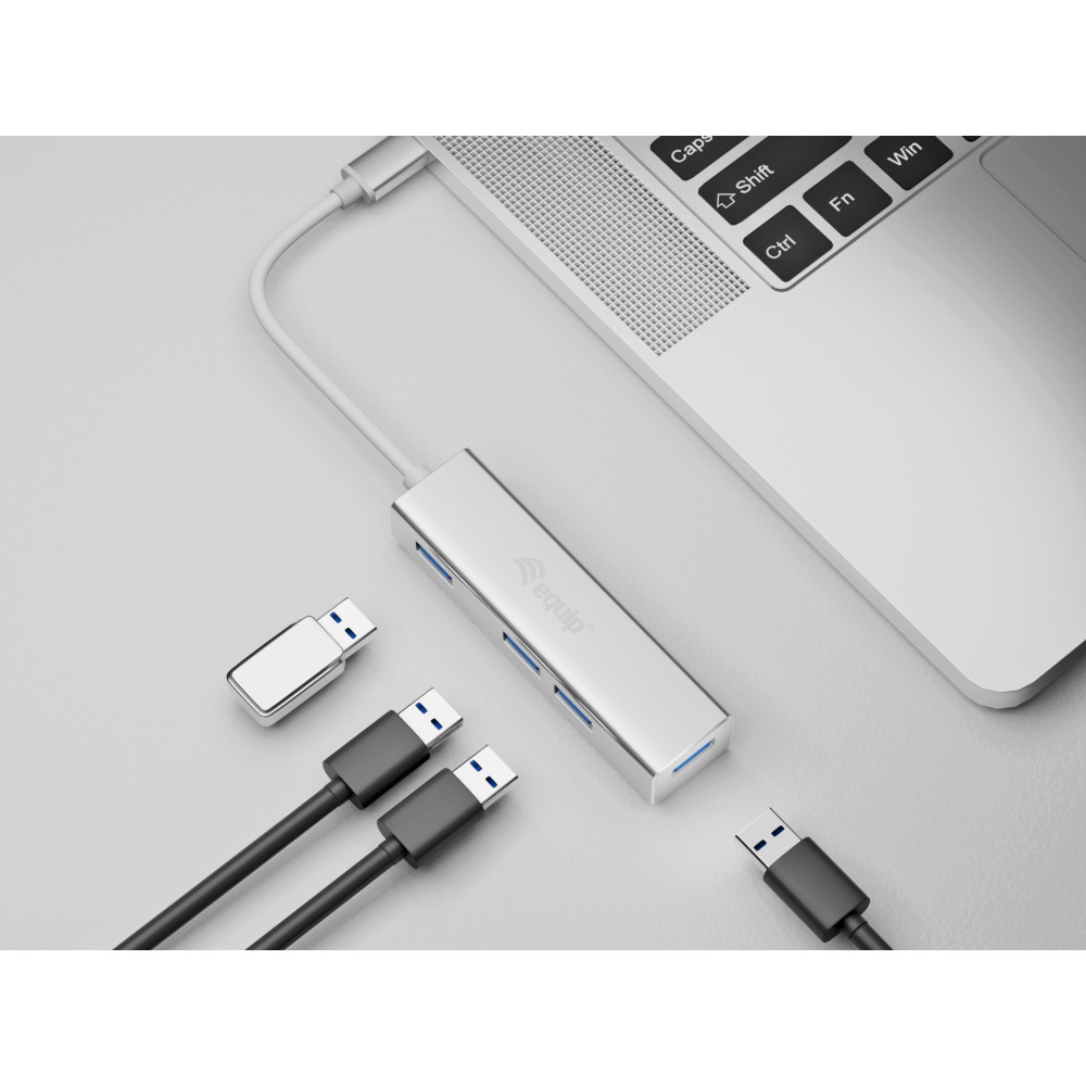 Equip 128958 hub & concentrateur USB 3.2 Gen 1 (3.1 Gen 1) Type-C 5000 Mbit s Argent