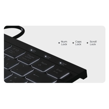 KeySonic KSK-5011ELC (DE) clavier Maison USB QWERTZ Allemand Noir