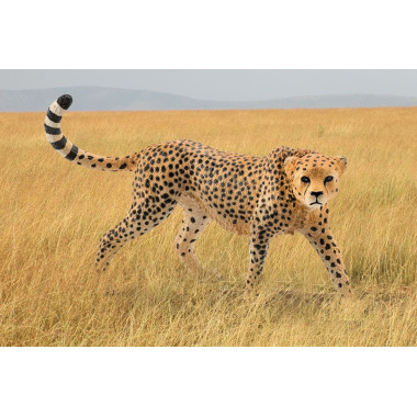 schleich WILD LIFE Guépard femelle