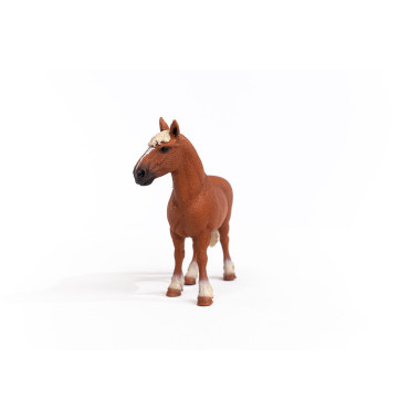 schleich FARM WORLD Poulinière belge