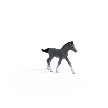 schleich HORSE CLUB Poulain Trakehnen