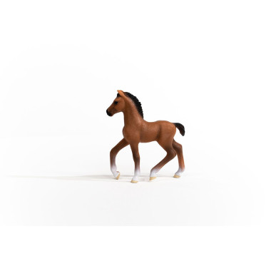 schleich HORSE CLUB Poulain Oldenbourg