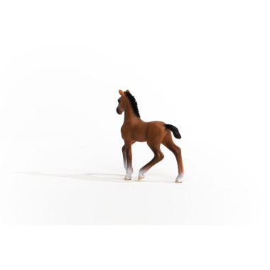 schleich HORSE CLUB Poulain Oldenbourg