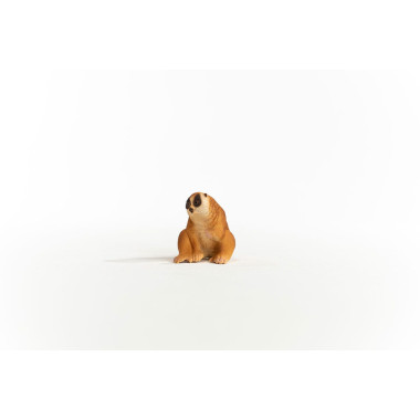 schleich WILD LIFE Nycticèbe