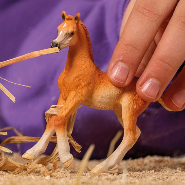schleich HORSE CLUB 13984 figurine pour enfant