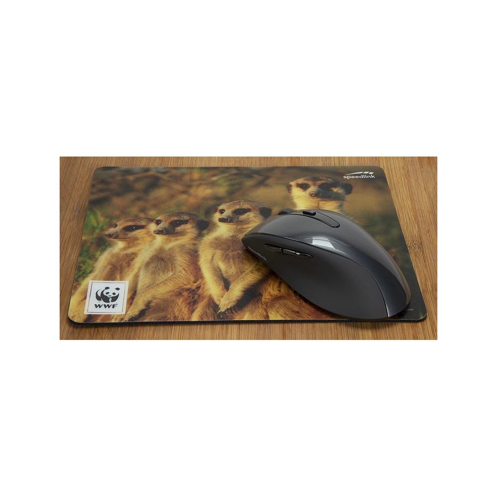 SPEEDLINK TERRA Multicolore