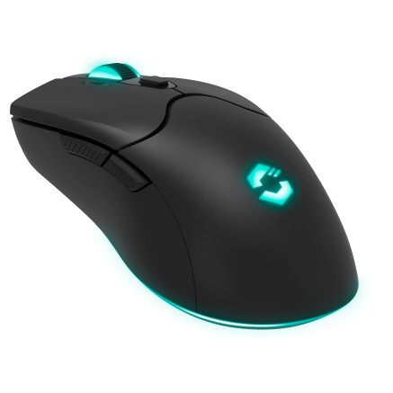 SPEEDLINK SL-680102-BK souris Jouer USB Type-A 4800 DPI