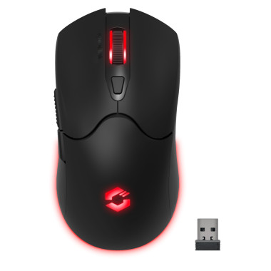 SPEEDLINK SL-680102-BK souris Jouer USB Type-A 4800 DPI