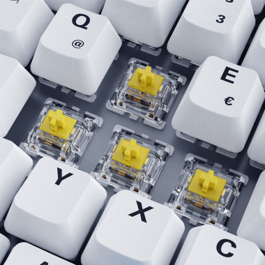 Sharkoon SKILLER SGK50 S3 PBT clavier Jouer USB QWERTZ Allemand Blanc