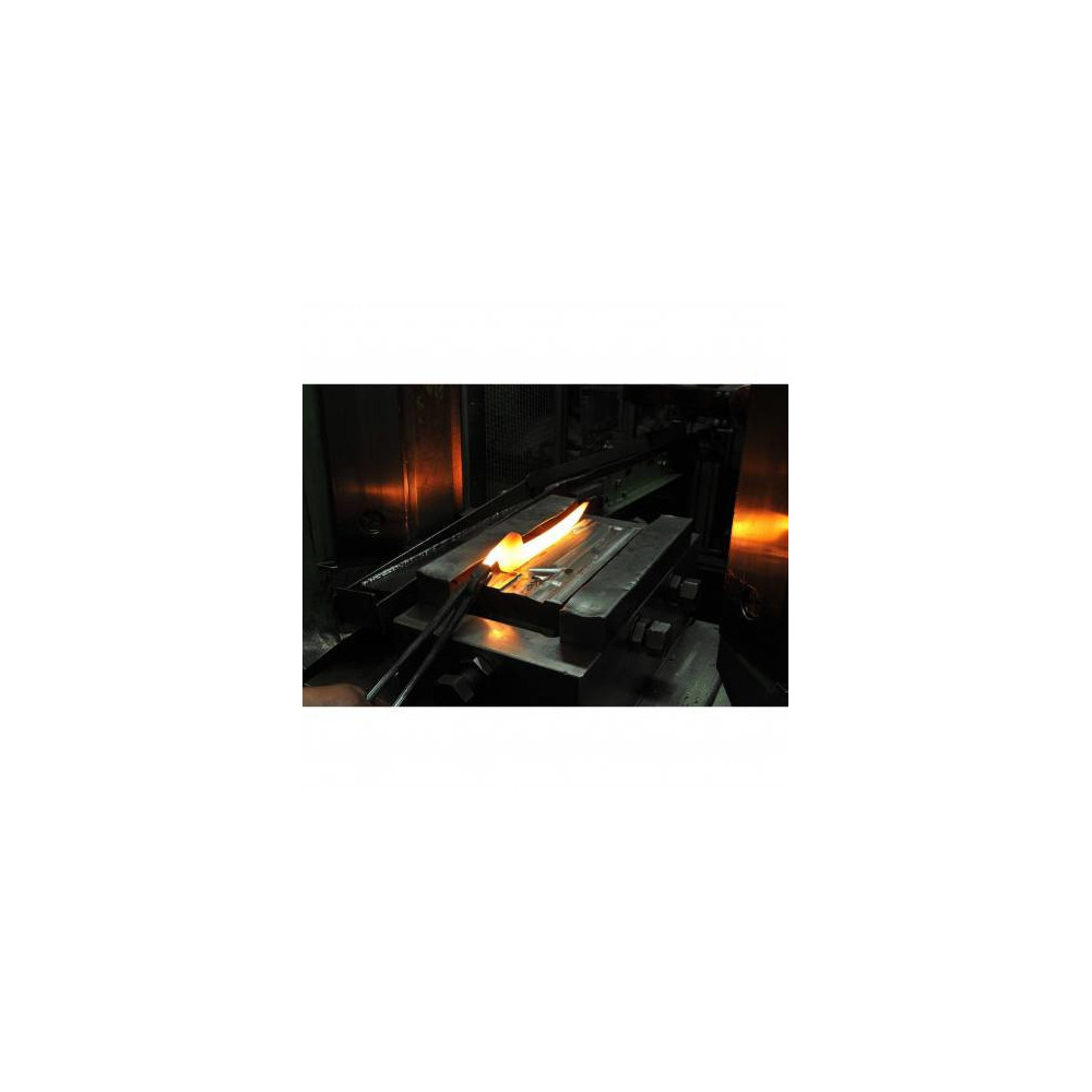 WMF 1889586032 Acier inoxydable 1 pièce(s) Couteau à filet