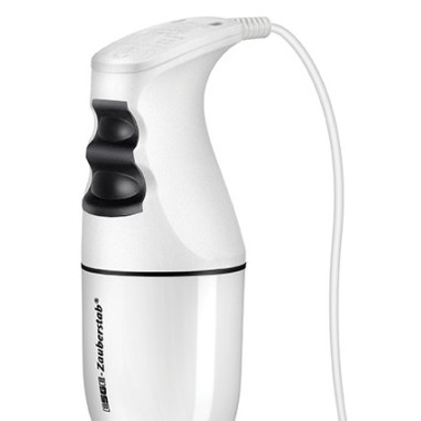 ESGE M 100 D Mélangeur par immersion 120 W Blanc