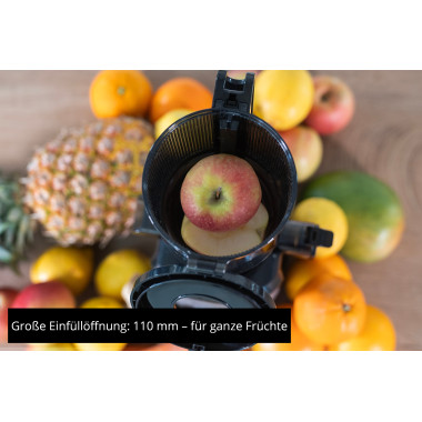 Unold 78275 SLOW JUICER Sam Centrifugeuse lente 300 W Charbon de bois