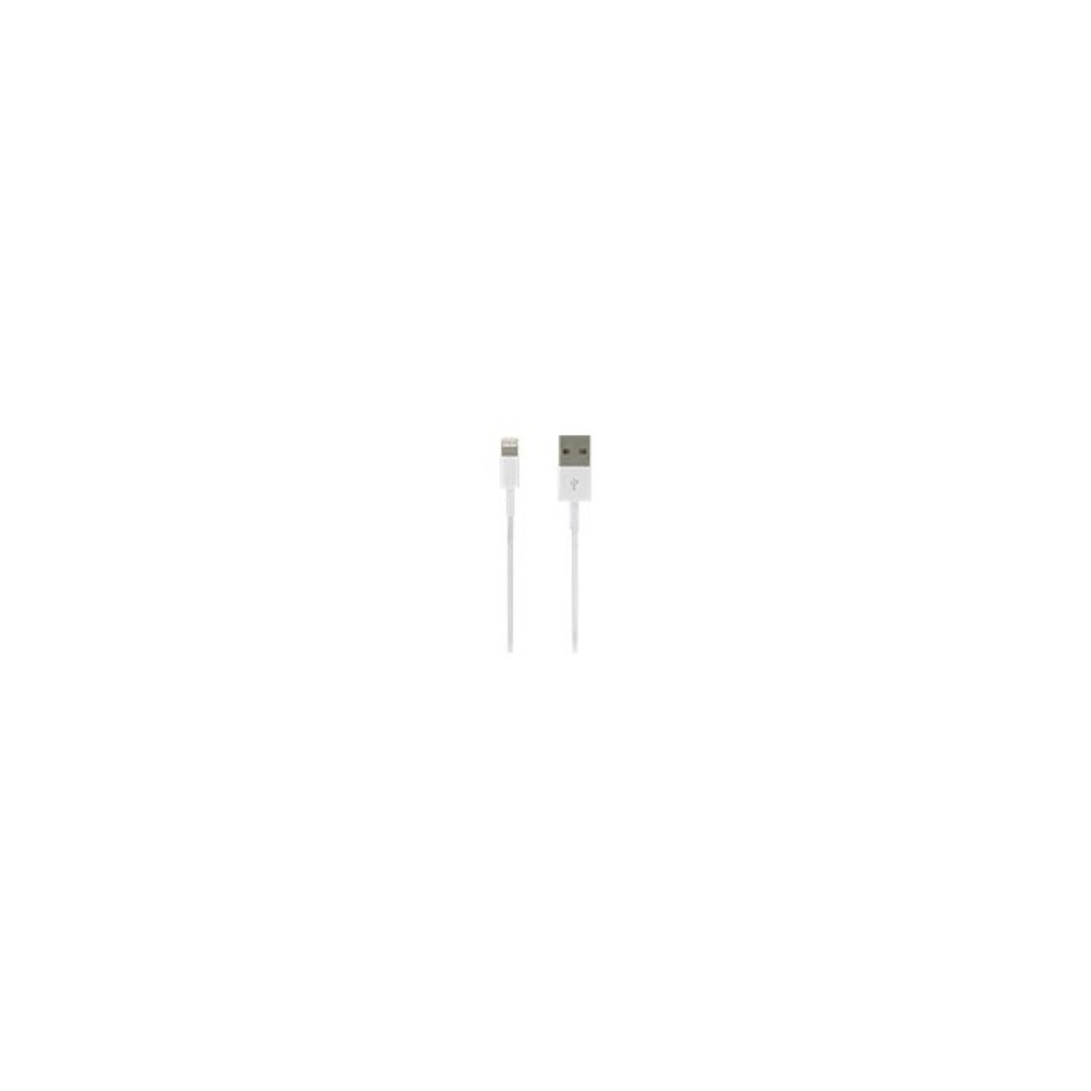 DLH DY-TU1704W câble Lightning 1 m Blanc DLH DY-TU1704W câble Lightning 1 m Blanc