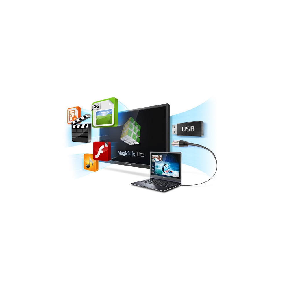Samsung MagicInfo Lite S W Server License 1 licence(s)