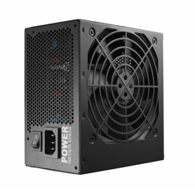 FSP HEXA 85+ PRO 650W unité d'alimentation d'énergie 20+4 pin ATX ATX Noir