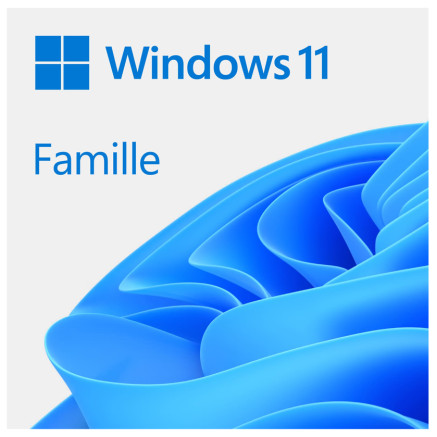 USB - Windows 11 Home - Français - Clé USB - Officiel