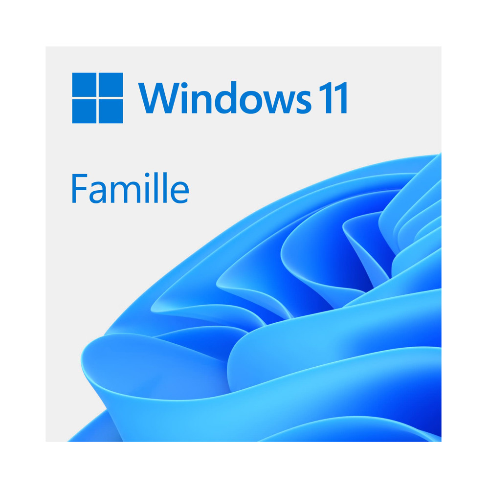 USB - Windows 11 Home - Français - Clé USB - Officiel