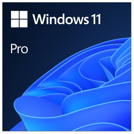 Windows 11 Home FR - Version DVD (OEM) pour Professionnels et Revendeurs