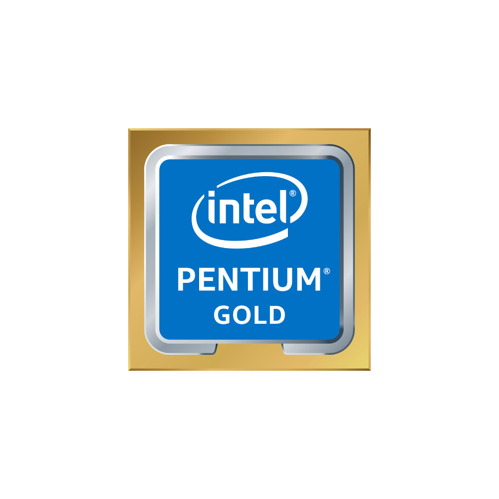 Intel Pentium Gold G6600 processeur 4,2 GHz 4 Mo Smart Cache Boîte