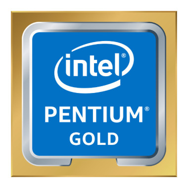 Intel Pentium Gold G6600 processeur 4,2 GHz 4 Mo Smart Cache Boîte