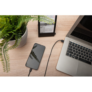Digitus Câble de raccordement USB Type-C