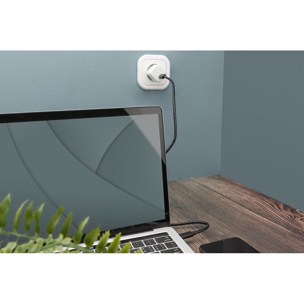 Digitus Câble de connexion USB Type-C, Type-C - C