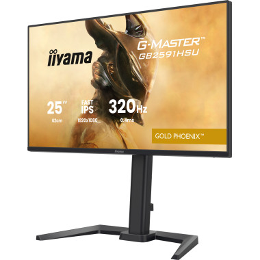 iiyama G-MASTER GB2591HSU-B1 écran plat de PC 62,2 cm (24.5") 1920 x 1080 pixels Full HD LED Noir