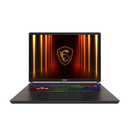 MSI Vector 17 HX AI A2XWHG-011FR Intel Core Ultra 9 275HX Ordinateur portable 43,2 cm (17") Quad HD+ 32 Go DDR5-SDRAM 2 To SSD