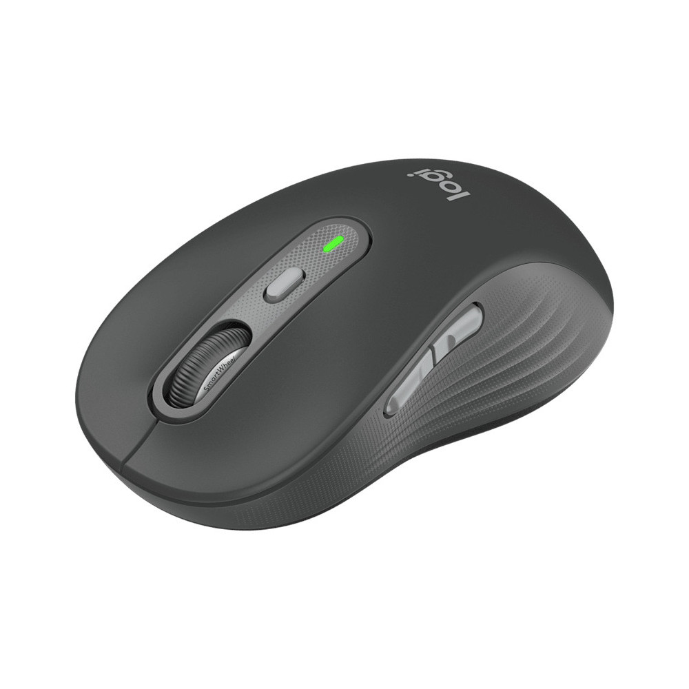 Logitech Signature Plus M750L souris Universel Droitier RF sans fil + Bluetooth Optique 4000 DPI