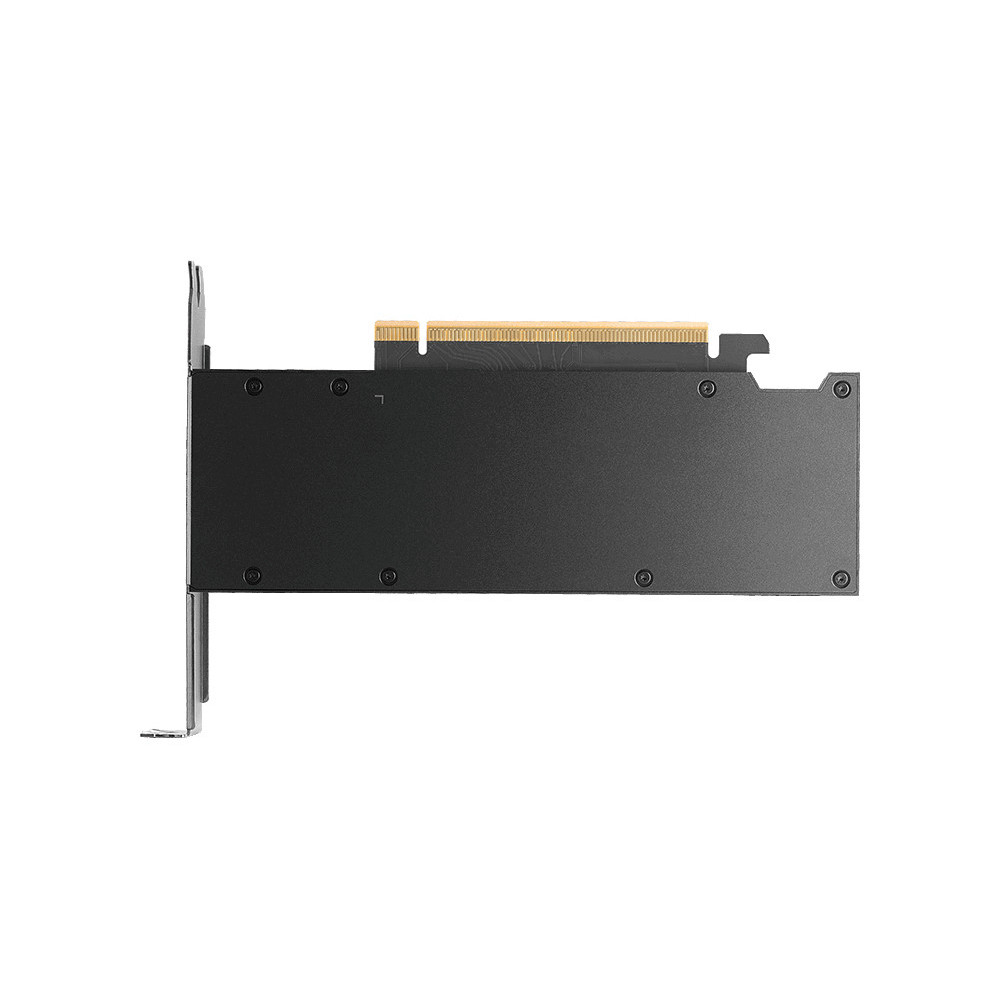 PNY RTX PRO 2000 Blackwell NVIDIA 16 Go GDDR7