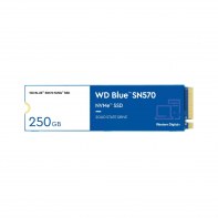 WESDD038296 WD Blue 250Go SN570 NVMe SSD WDS250G3B0C M.2 2280 PCI Express 3.0