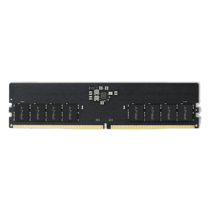 PNY RAM DIMM DDR5 5600 16 Go (1x 16Go)