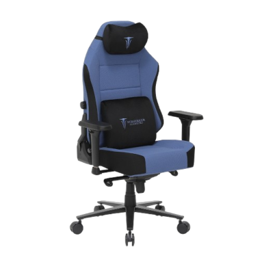 SIEGE BERSERKER GAMING LUXURY TYR GRIS-NOIR | ECP Grossiste informatique