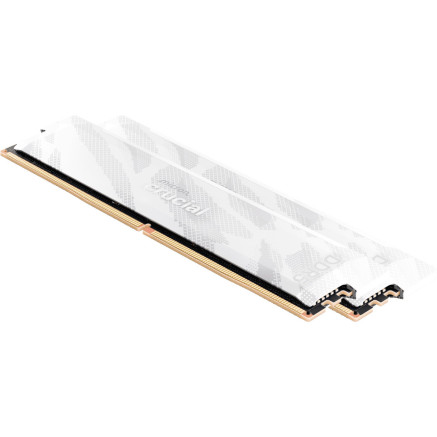 Crucial Pro CP2K16G64C32U5W module de mémoire 32 Go 2 x 16 Go DDR5 6400 MT s 288-pin DIMM