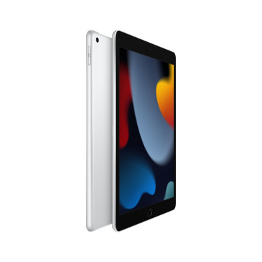 Apple 10.2-inch iPad Wi-Fi - 9th generation - tablet - 256 GB - 10.2" | ECP Grossiste informatique