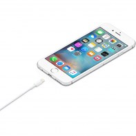 APLSY037153 APPLE Cable Lightning vers USB (1 m)