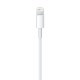 APPLE/MAC MXLY2ZM/A APLSY037153 APPLE Cable Lightning vers USB (1 m)