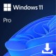 MICROSOFT W11P-ESD MICLG038308 ESD - WINDOWS 11 PRO 64Bit FR DEMATERIALISE