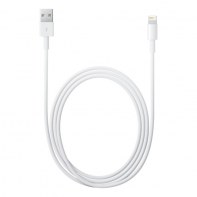 APLSY031693 APPLE Câble Lightning vers USB (2 m)