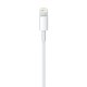 APPLE/MAC MD819ZM/A APLSY031693 APPLE Câble Lightning vers USB (2 m)