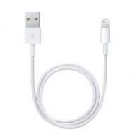 APLSY031697 APPLE Câble Lightning vers USB (0.5 m)