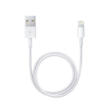 APPLE/MAC ME291ZM/A APLSY031697 APPLE Câble Lightning vers USB (0.5 m)