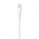 APPLE/MAC ME291ZM/A APLSY031697 APPLE Câble Lightning vers USB (0.5 m)