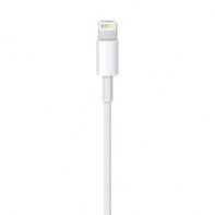 APLSY031697 APPLE Câble Lightning vers USB (0.5 m)