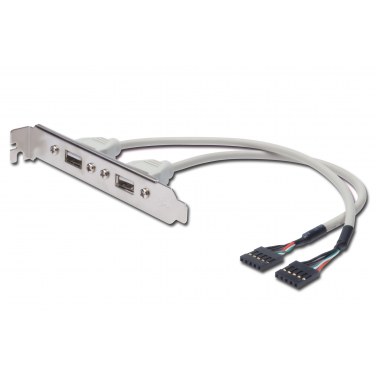 ASSMAN AK-300301-002-E ASSUS024090 Adaptateur 2 USB interne pour carte mère