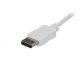 STARTECH CDP2DPMM6W STAUS030184 USB Type-C vers DisplayPort de 1,8 m Blanc