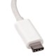 STARTECH CDP2DPW STAUS030185 USB C vers DisplayPort M/F blanc