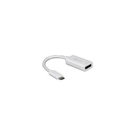 NONUS030842 Adaptateur USB-C vers DisplayPort M-F