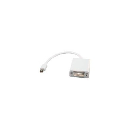 NONVI024105 Adaptateur Mini Displayport-DVI 0,10m