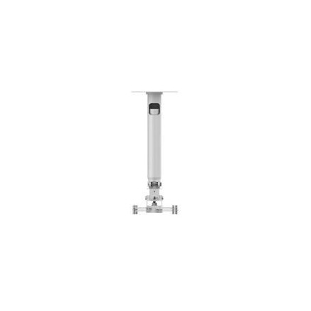 NONVP031375 TM-TELE Support Plafond pour vidéoprojecteur Universel, avec tige